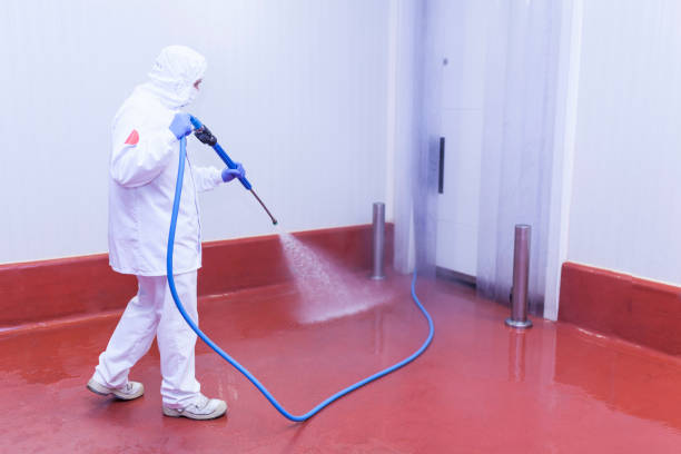 Best Restaurant Pressure Washing  in Carrollton, GA