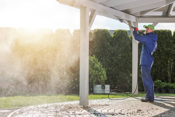 Best Roof Washing  in Carrollton, GA