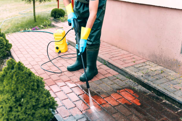 Best Animal Enclosure Cleaning  in Carrollton, GA