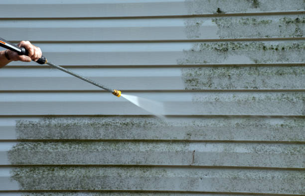 Best Driveway Pressure Washing  in Carrollton, GA