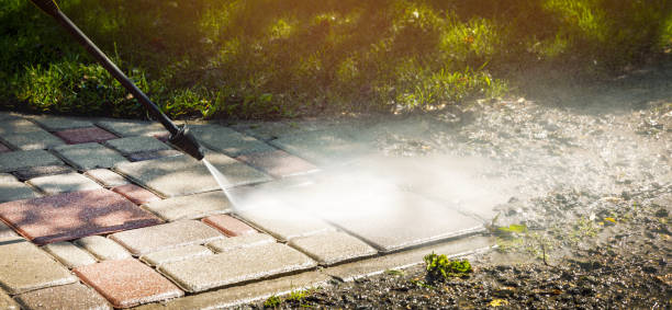 Best Fence Cleaning  in Carrollton, GA